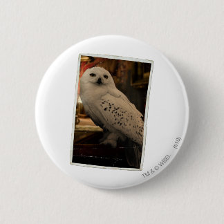 Hedwig 3 knapp