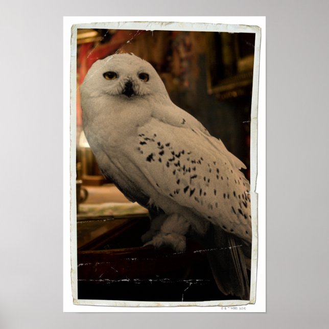 Hedwig 3 poster (Framsidan)