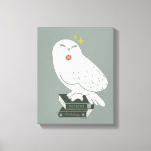 Hedwig Med Brev Nyckfull Teckning Canvastryck