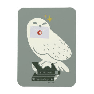 Hedwig Med Brev Nyckfull Teckning Magnet