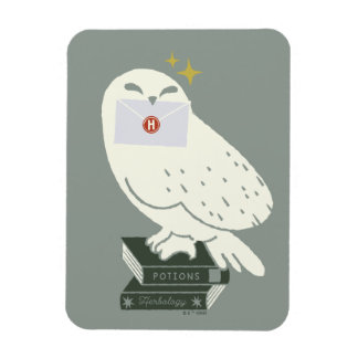 Hedwig Med Brev Nyckfull Teckning Magnet