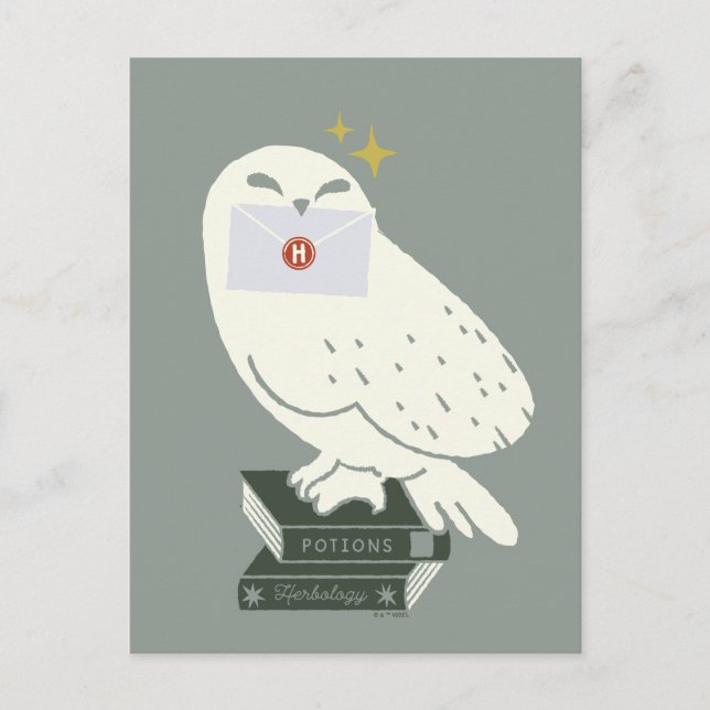 Hedwig Med Brev Nyckfull Teckning Vykort (Framsida)