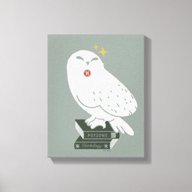 Hedwig Med Brev Whimsical Teckning Canvastryck (Framsida)