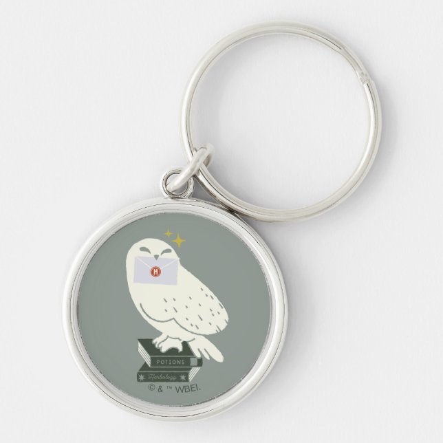 Hedwig med brev Whimsical Teckning Rund Silverfärgad Nyckelring (Framsidan)
