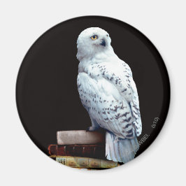 Hedwig på böcker magnet