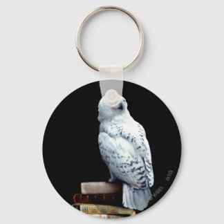 Hedwig på böcker nyckelring