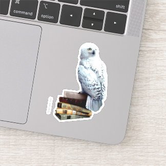 Hedwig på bokar klistermärken