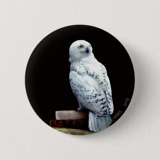 Hedwig på bokar knapp