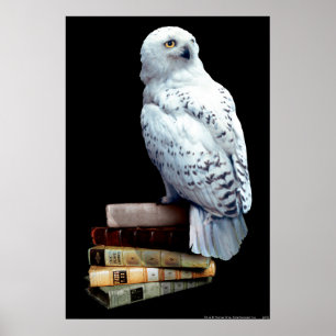 Hedwig på bokar poster