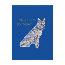 Heeler Cattle Hund här håller mitt läkemedel