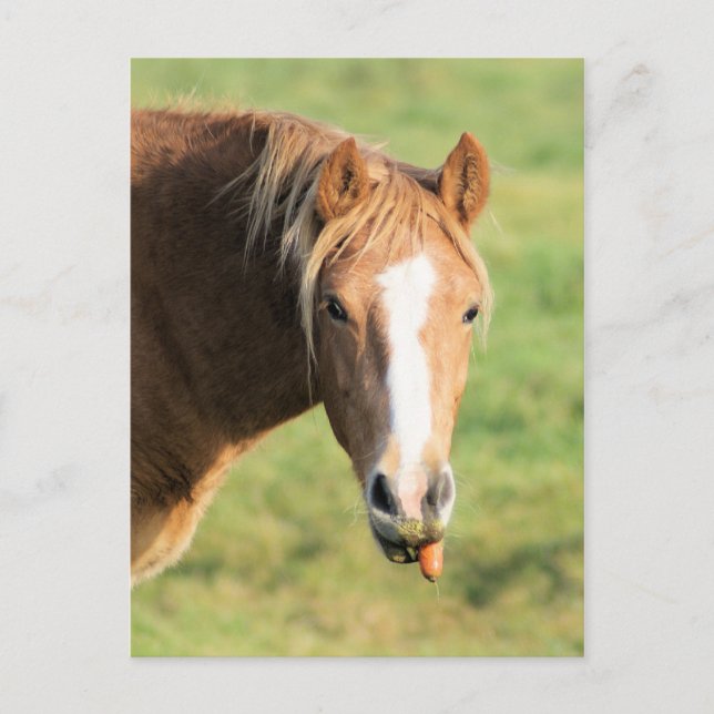 Heeya, vad är upp och ner? vykort (Framsida)