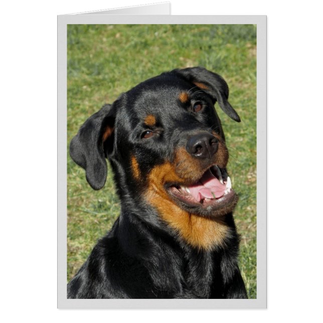 Heidi Cute Rottweiler Blank Greeting Card Hälsningskort (Framsidan)