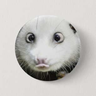 Heidi Kor Eyed Opossum Knapp