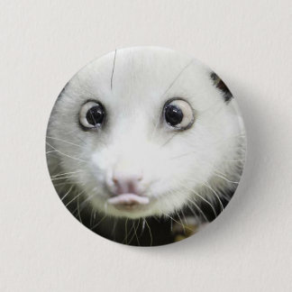 Heidi Kor Eyed Opossum Knapp