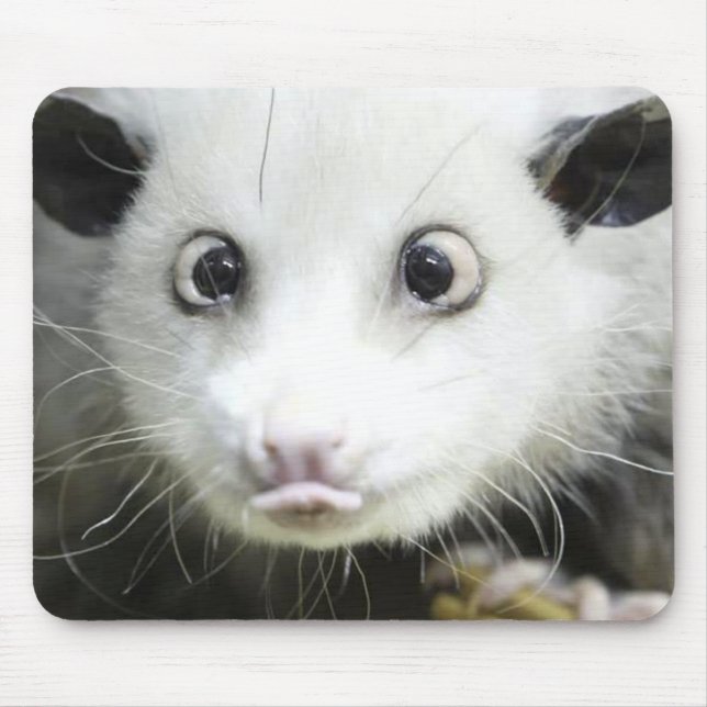 Heidi Kor Eyed Opossum Musmatta (Framsidan)