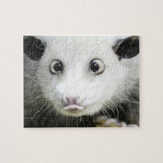 Heidi Kor Eyed Opossum Pussel