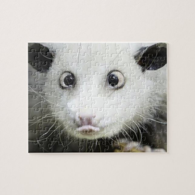 Heidi Kor Eyed Opossum Pussel (Horisontell)