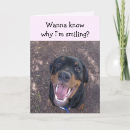 Heidi Lycklig Rottweiler Alla hjärtans dagskort Helgkort