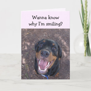Heidi Lycklig Rottweiler Alla hjärtans dagskort Helgkort