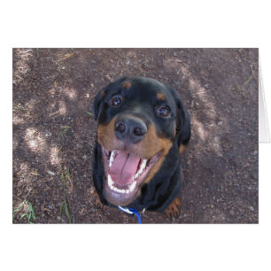 Heidi Lycklig Rottweiler Blank Greeting Card Hälsningskort