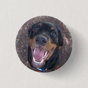 Heidi Lycklig Rottweiler Button Knapp