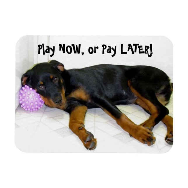 Heidi Play Now eller Betala Senare Magnet (Horisontell)