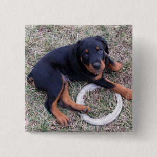 Heidi Rottweiler "Innocent"-knapp Knapp