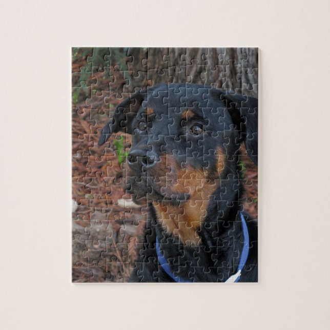 Heidi Rottweiler Puzzle Pussel (Vertikal)