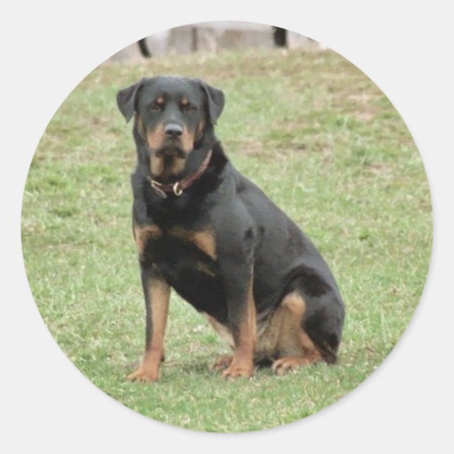 Heidi Sticker Runt Klistermärke (Framsida)