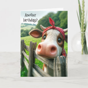 Heifer Cow Birthday Humor Kort