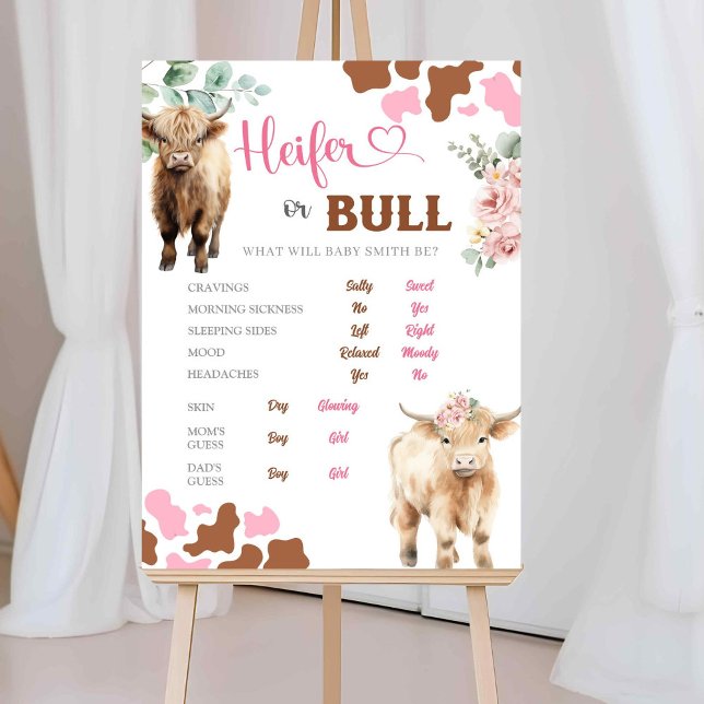 Heifer eller Bull Cow Gender avslöjar gamla fruar  Poster (Skapare uppladdad)