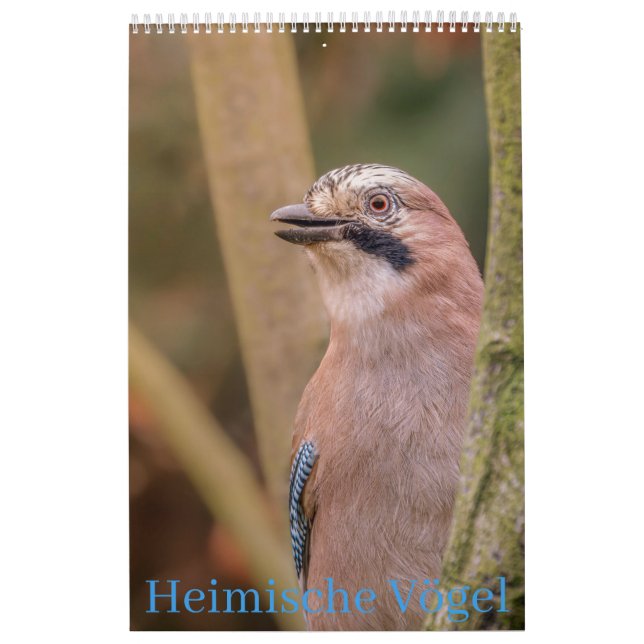 Heimische Vögel Kalender (Omslag)