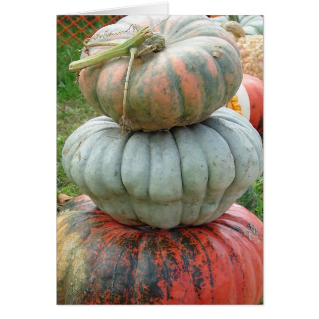 Heirloom Pumpkin Stack Hälsningskort (Framsidan)