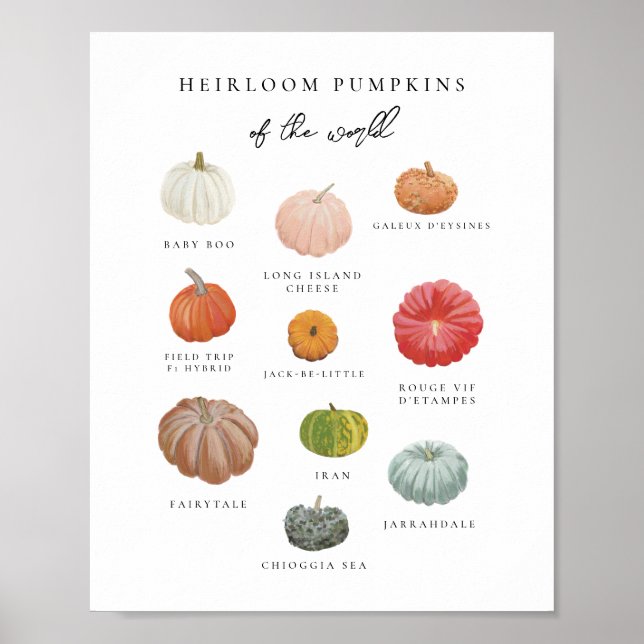 Heirloom Pumpkins Art Print Poster (Framsidan)