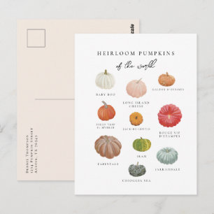 Heirloom Pumpkins Fall Vykort
