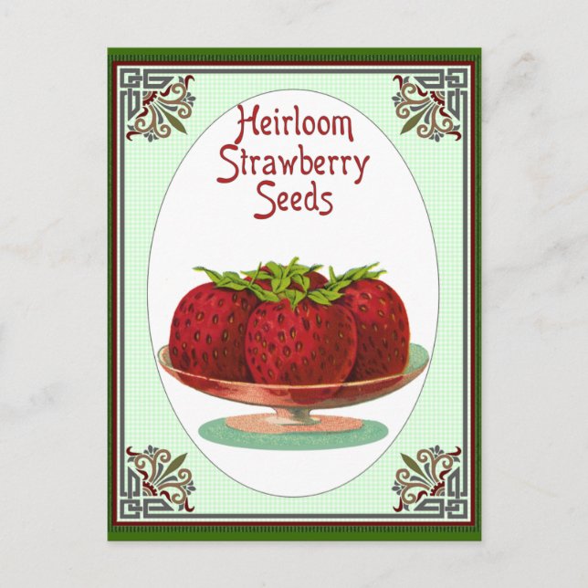 Heirloom Strawberry Seeds Vykort (Framsida)