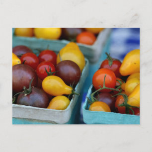 Heirloom Tomater Vykort