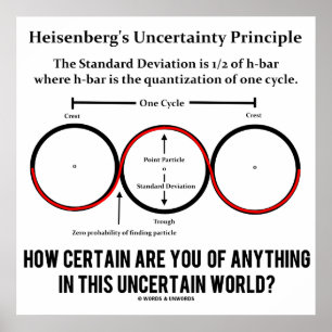 Heisenbergs osäkerhetsprincip Physics Humor Poster