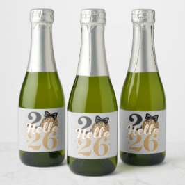 Hej 2026 Diskobollfirande