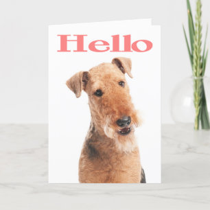 Hej Airedale Puppy Hund Greeting Card - Verse Kort
