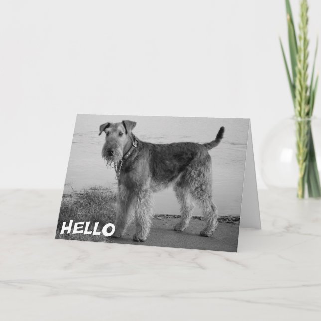 Hej Airedale Valp Hund Kort - Vers (Framsida)