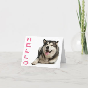 Hej Alaska Malamute Puppy Hund Note Card Kort
