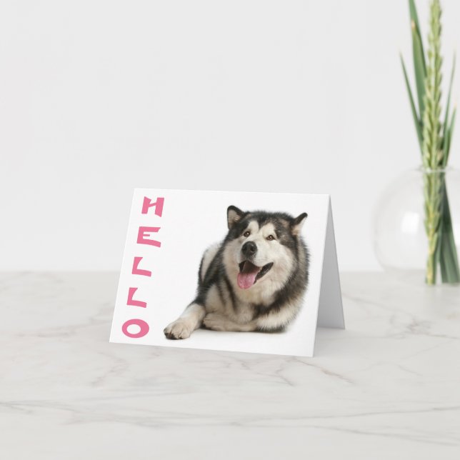 Hej Alaska Malamute Puppy Hund Note Card Kort (Framsida)