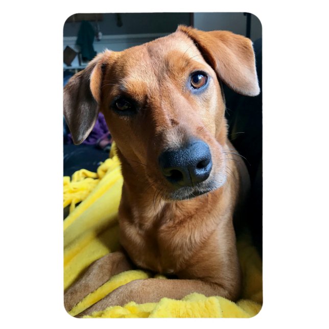 Hej All Magnet (Vertikal)