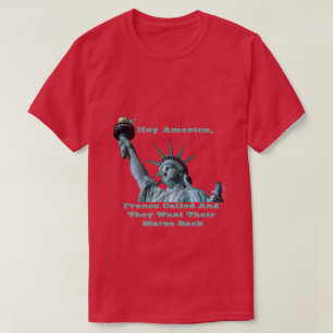 Hej Amerika (Dam Liberty) - En minister i P Shirt T-shirt