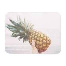 Hej ananas magnet