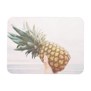 Hej ananas magnet
