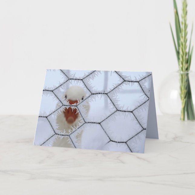 Hej! Anka bakom det frostade stängslet, sekulär ju Kort (Framsida)