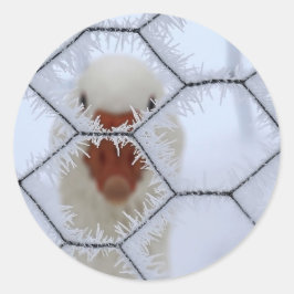 Hej! Anka bakom frostigt stängsel Runt Klistermärke