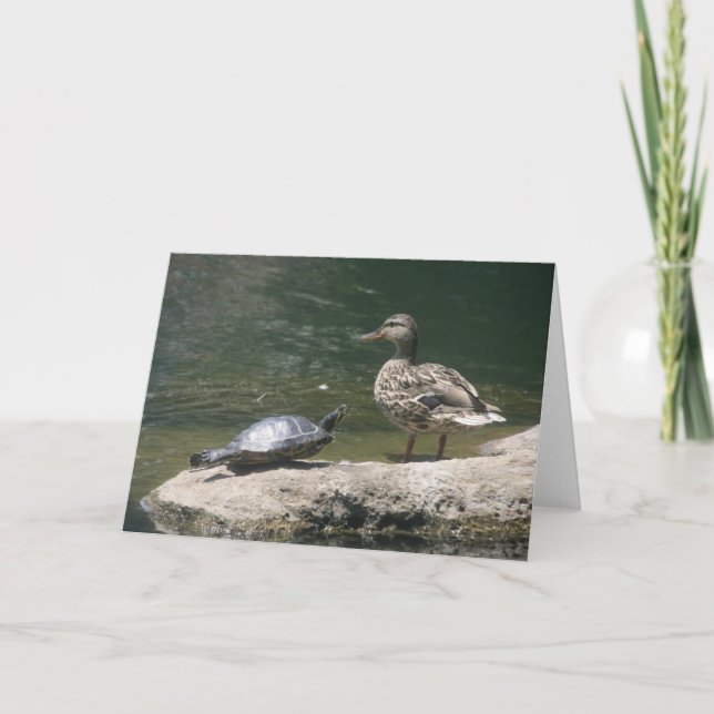 Hej anka-kort kort (Framsida)